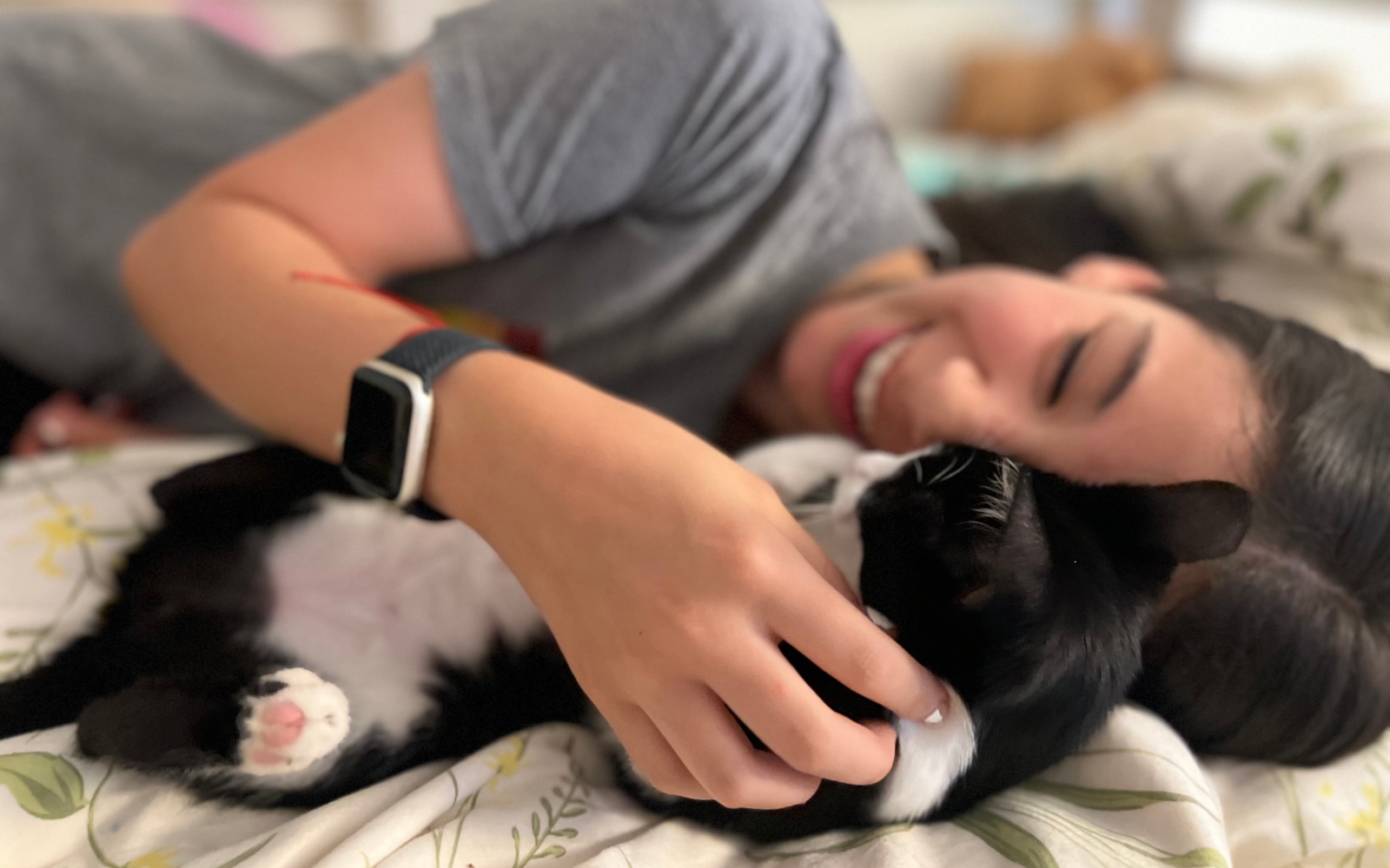 Adopted cat with a loving family through Animal World Foundation